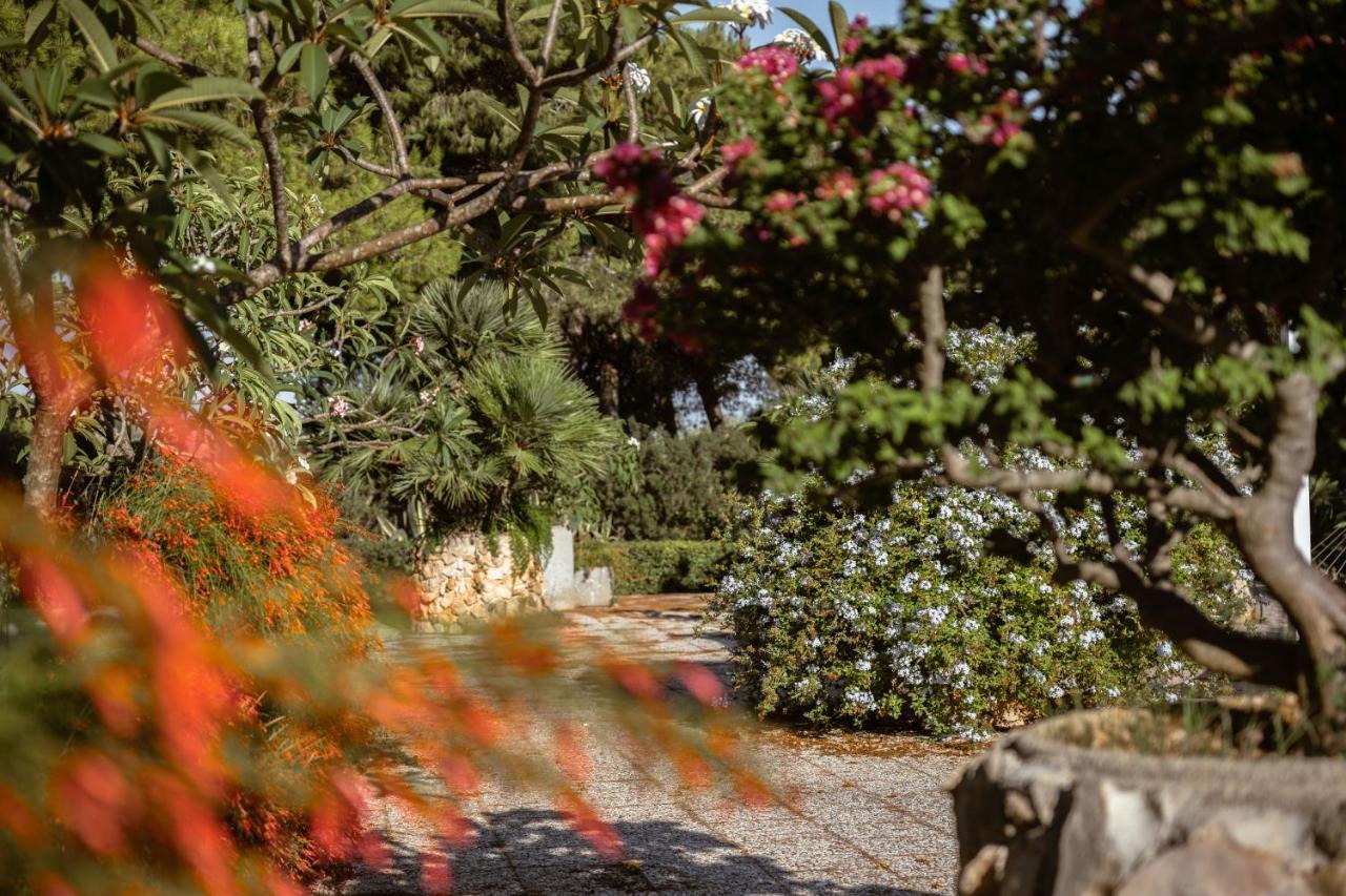 Giardino Dell'Impossibile Di Antonino Campo Apartment Favignana Luaran gambar