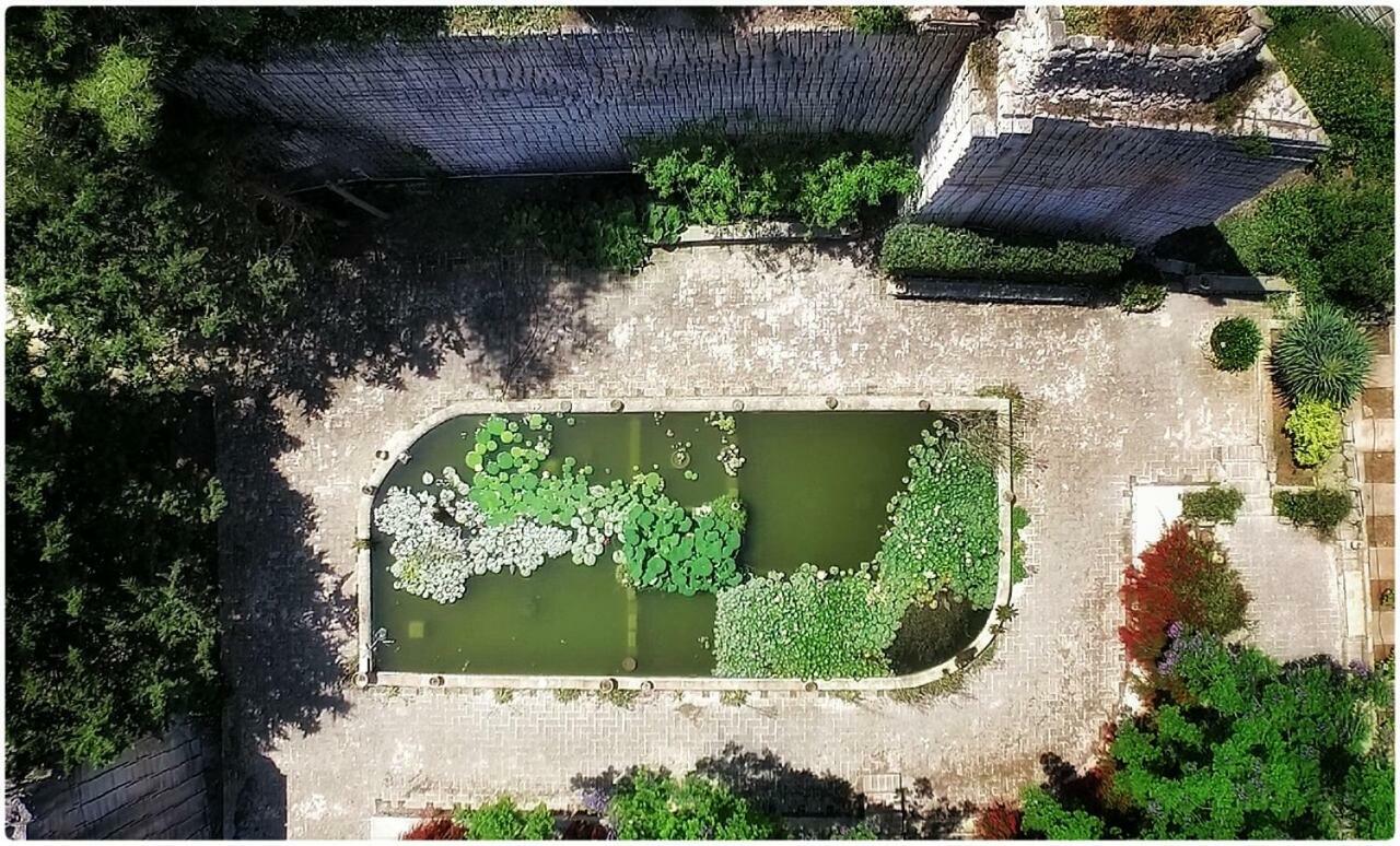 Giardino Dell'Impossibile Di Antonino Campo Apartment Favignana Luaran gambar